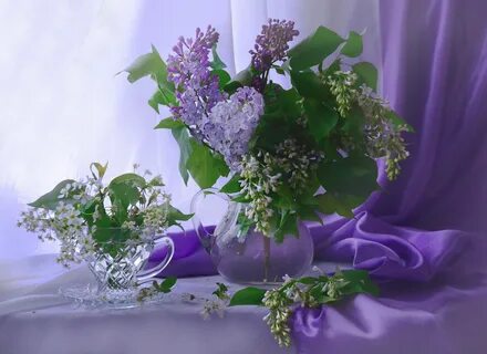 Открытки хорошего майского вечера