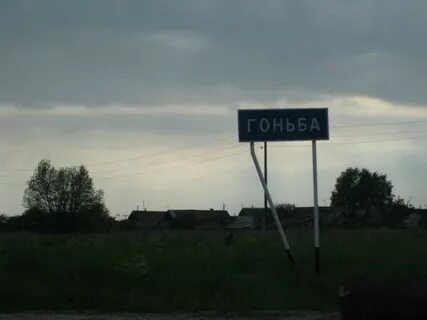 Верх гоньба