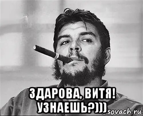 Понял витя