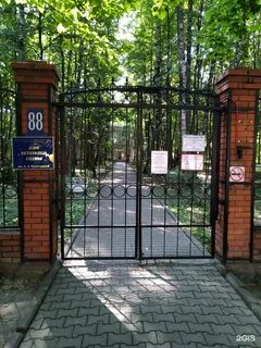 Дом ветеранов сцены яблочкиной сайт