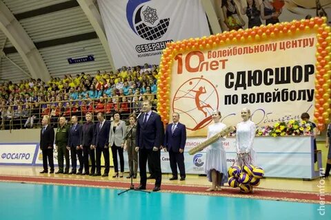Волейбольный центр афиша