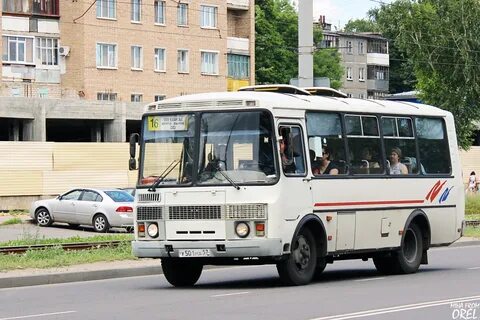 Бус орел