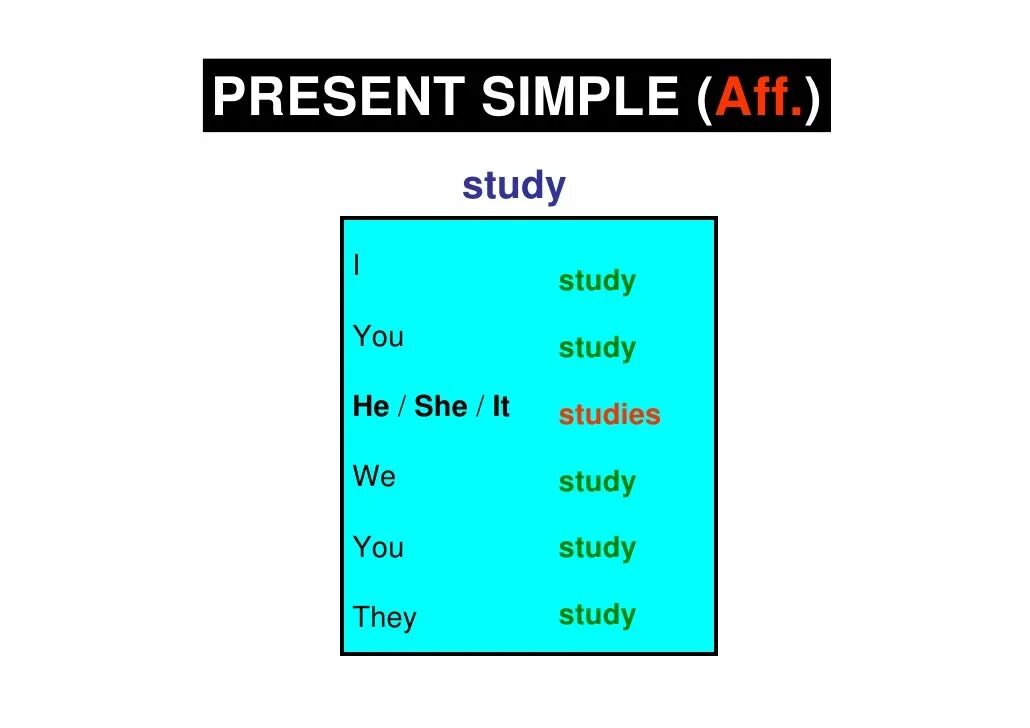Форма глагола study в английском. Study present simple. Глагол study в present simple. Study в презент Симпл. She study в present simple.