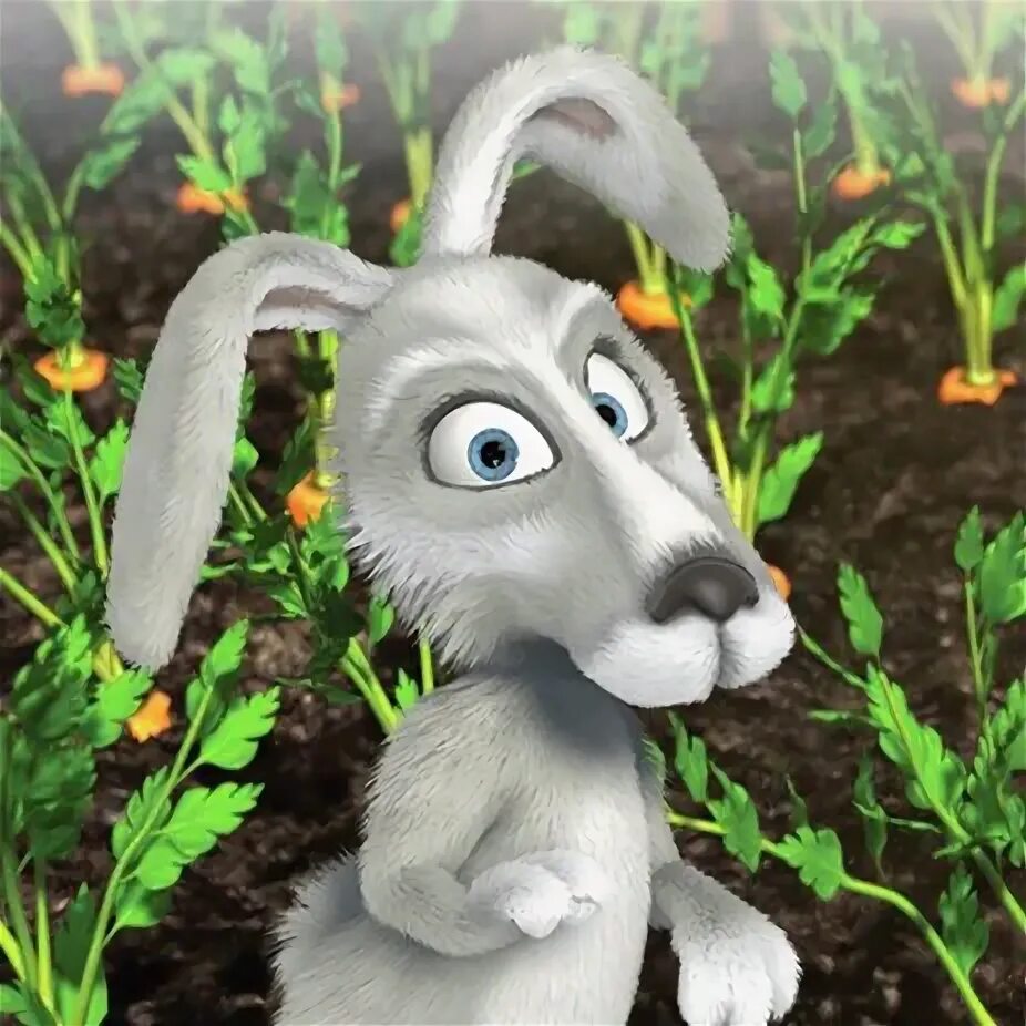 Зайчик из маши и медведь. Маша и медведь заяц с морковкой. Зайчик из маши и медведь. Маша и медведь заяц морковь. Маша и медведь заяц.