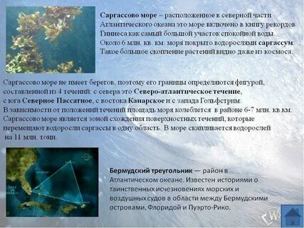 Атлантический океан интересные факты