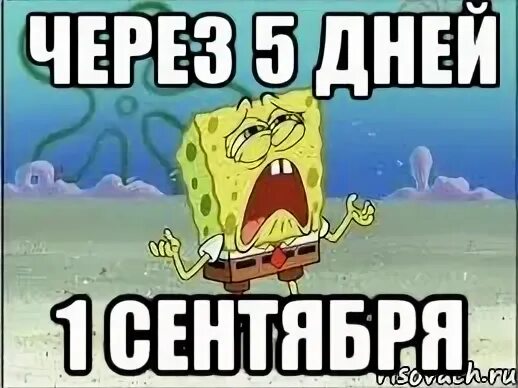 Лето через 20 минут. 7 дней до дня рождения. Мемы про лето. До дня рождения осталось 8 дней. Через день.