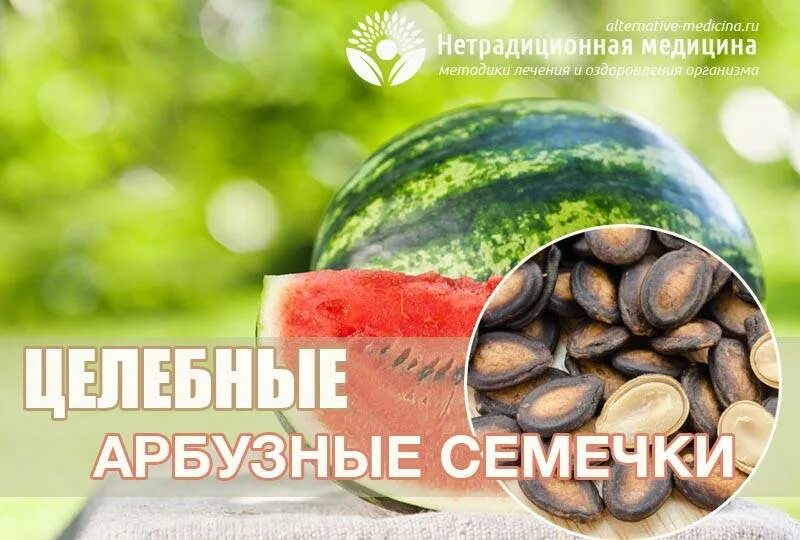 Семечко арбуза. Польза арбуза. Чем полезен арбуз. Чем полезен арбуз для организма. Арбузные семечки польза для человека.