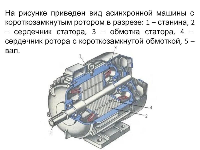 Почему двигатель называется асинхронным. Схема обмотки статора двигателя с короткозамкнутым ротором. модель сердечника асинхронного двигателя. акс 600 асинхронный двигатель. беличья клетка асинхронного двигателя.