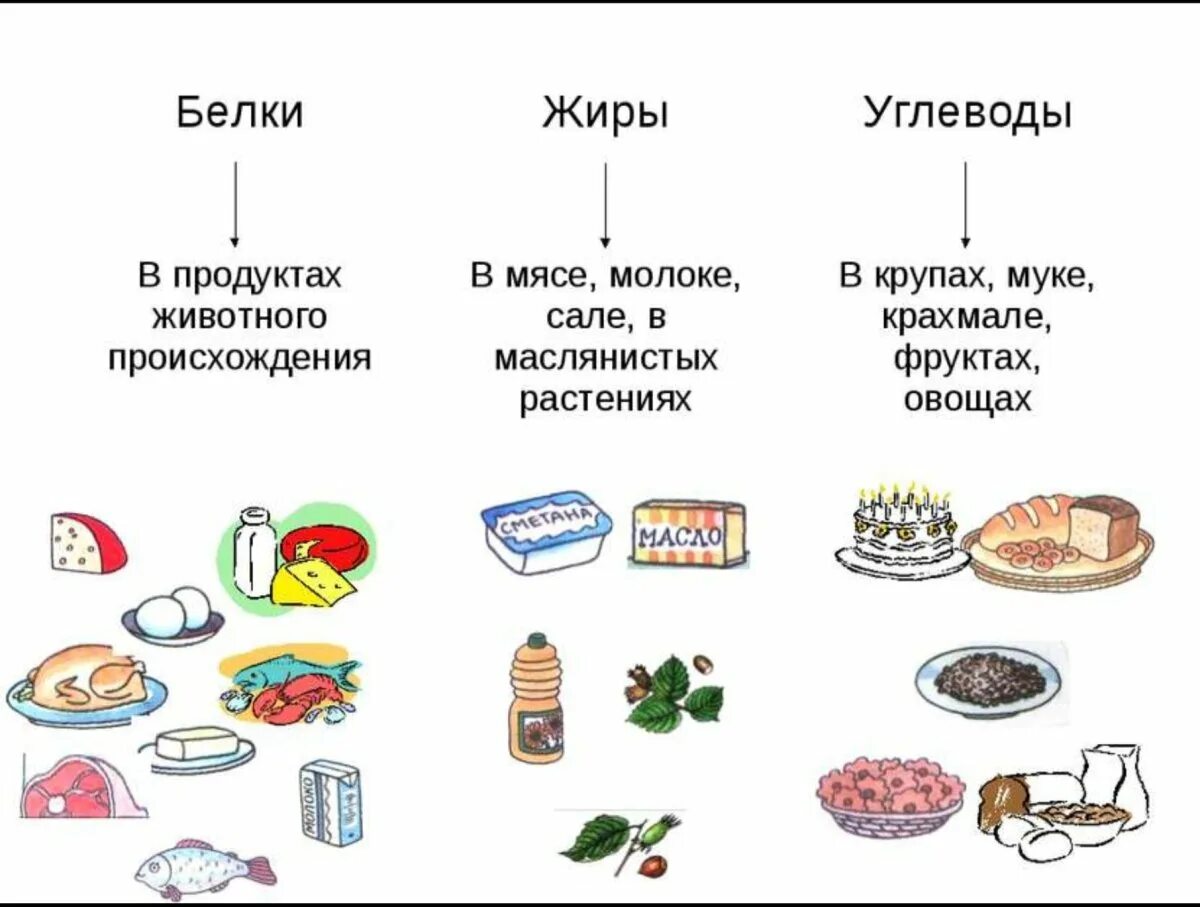 Схема питания белков жиров углеводов. Схема питания белки жиры углеводы. Схема правильного питания белки жиры углеводы. Еда это белки жиры углеводы схема.