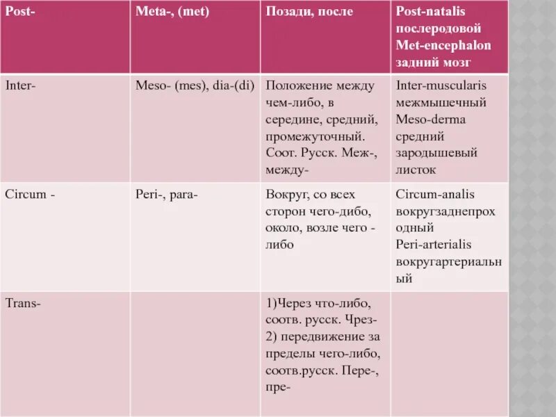 Значение post. Греческие приставки латынь. Приставки латынь. Греческие корни в латинском. Частотные латинские и греческие приставки.