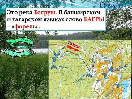 Запруды расписание