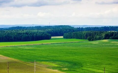 Равнины беларуси