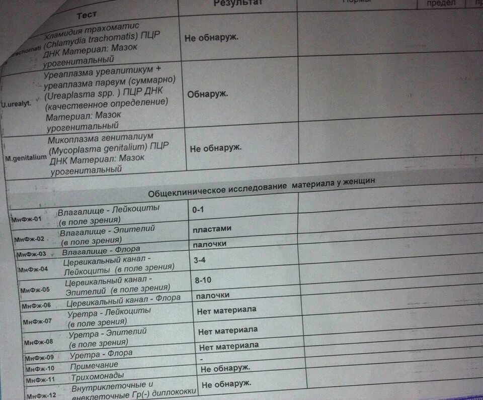 Уреаплазма у мужчин причины. Мнфж-01 норма. ПЦР первой порции мочи. Мнфж-03 норма. Мнфж-04 норма.
