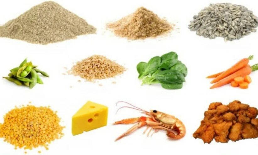 В каких фруктах содержится цинк. Продукты, богатые кальцием и цинком.. продукты богатые цинком для детей. zinc-rich foods. цинк в продуктах для веганов.