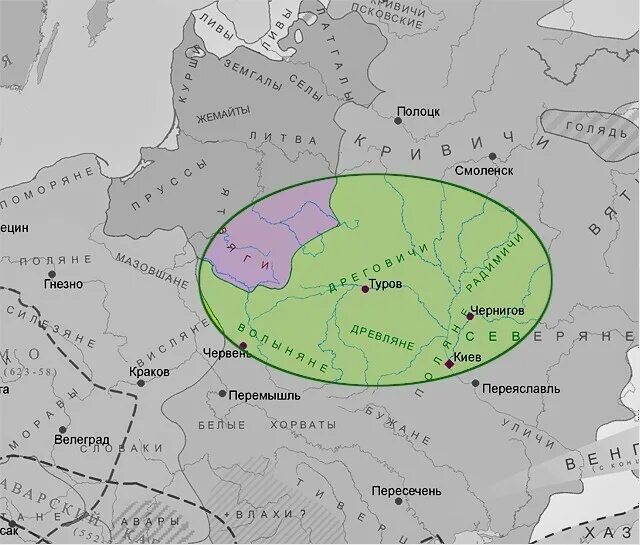 Поляне древляне дреговичи радимичи Вятичи Кривичи. Карта Беларуси Кривичи радимичи. Карта Кривичи дреговичи радимичи. Вятичи древляне дреговичи Поляне. Название крупнейших племен