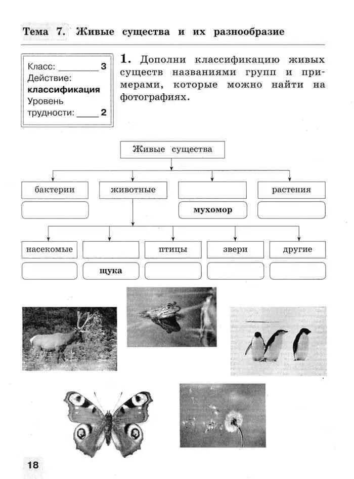 Окружающий мир Чудинова. Окружающий мир 4 класс Чудинова. Схема живые существа. Схема животных. Живые существа тест