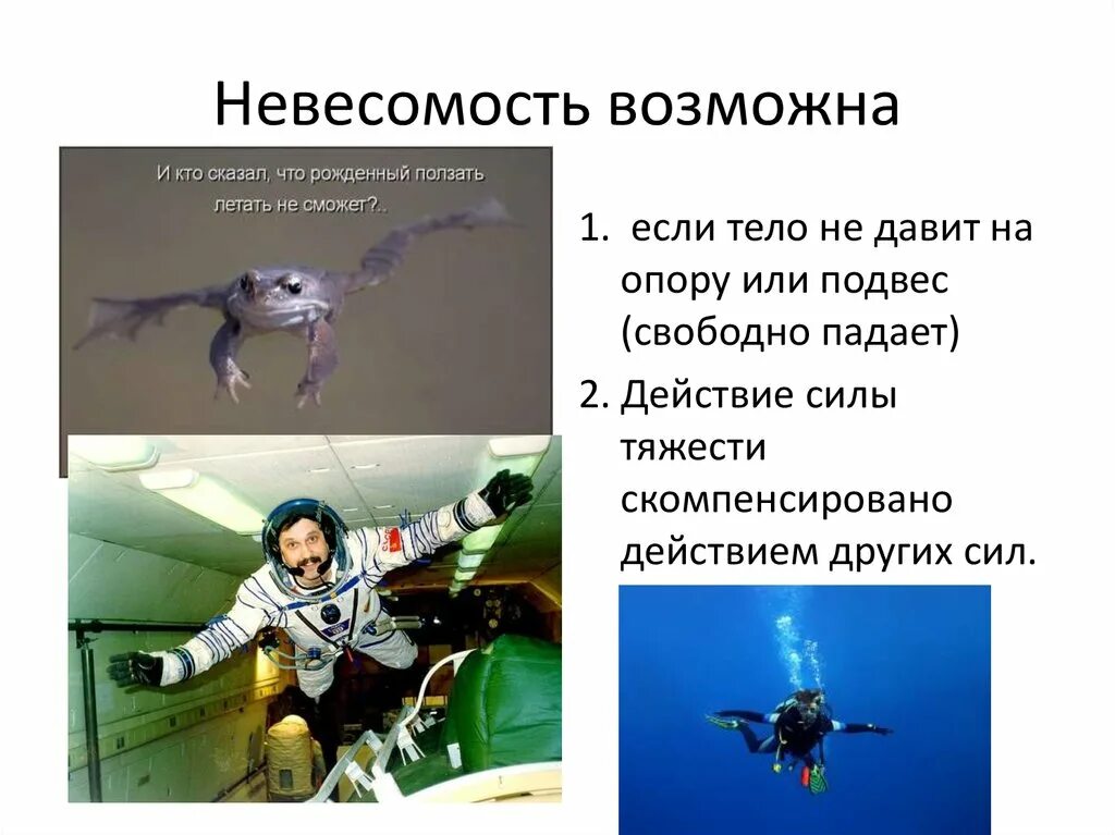 Проект невесомость на земле физика 7 класс Презентация по физике "Невесомость"
