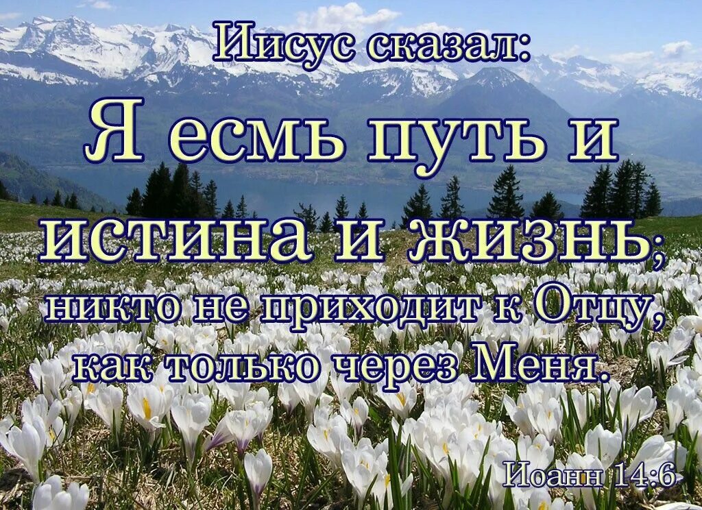 Я есмь истина и жизнь. Иисус есть путь и истина и жизнь. Христос путь и истина и жизнь. Я есмь путь и истина и жизнь. Я есть путь истина и жизнь.