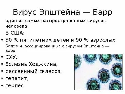 Вирус эпштейна барр гепатит