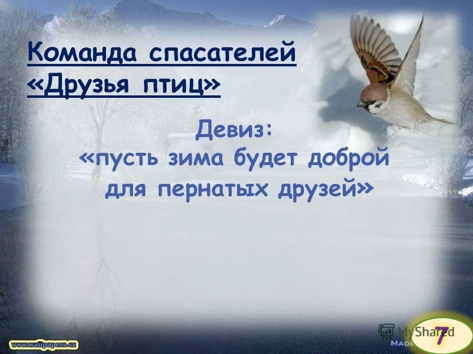 Девиз птиц. Слоганы про птиц. Девиз про птиц. Девиз на тему птицы. Девиз для команды птиц.