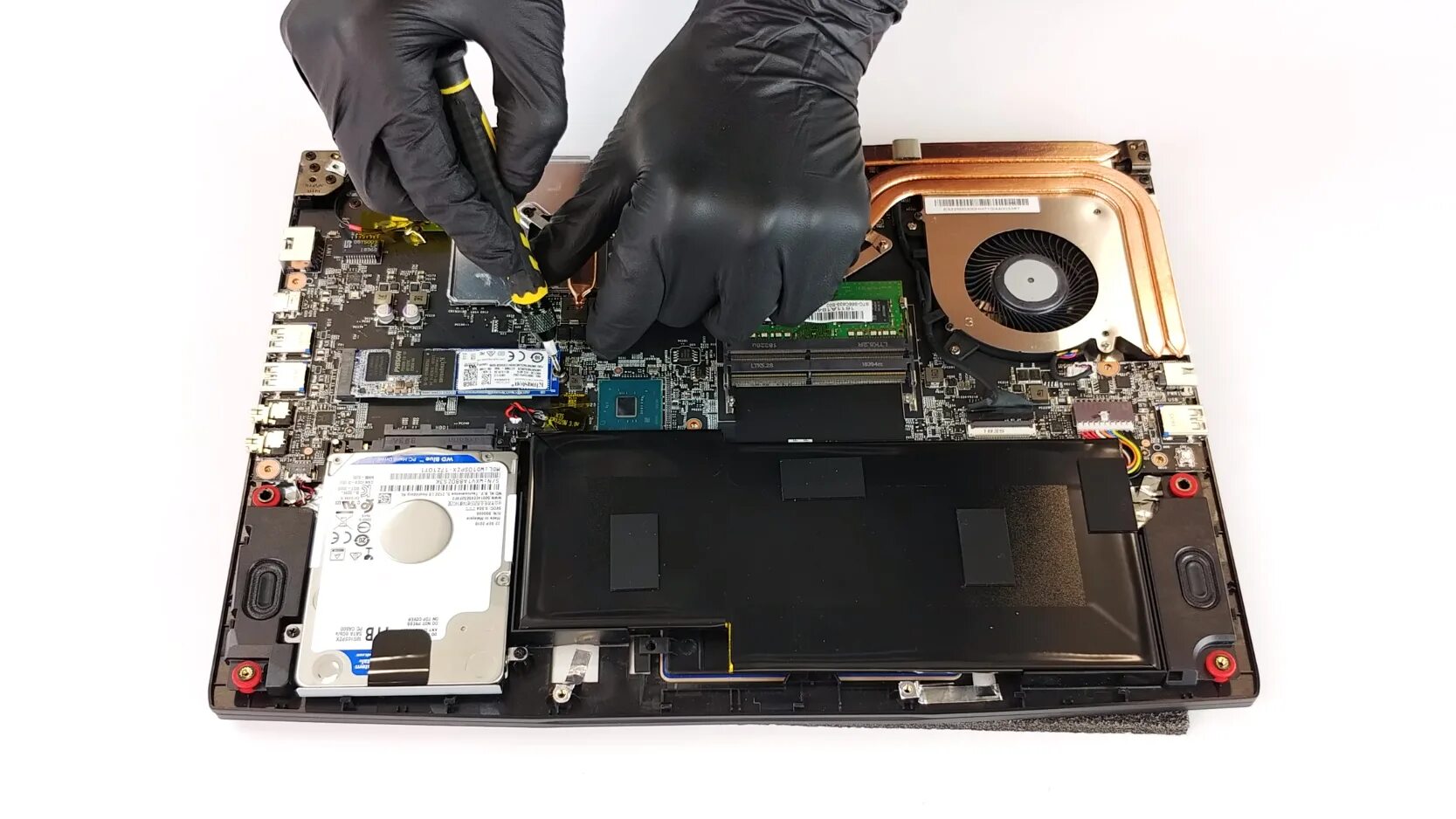 Разбор ноутбука msi. Msi gf63 disassembled. msi gf75 disassembly. разбор ноутбука msi gf63. msi gf63 в разборе.