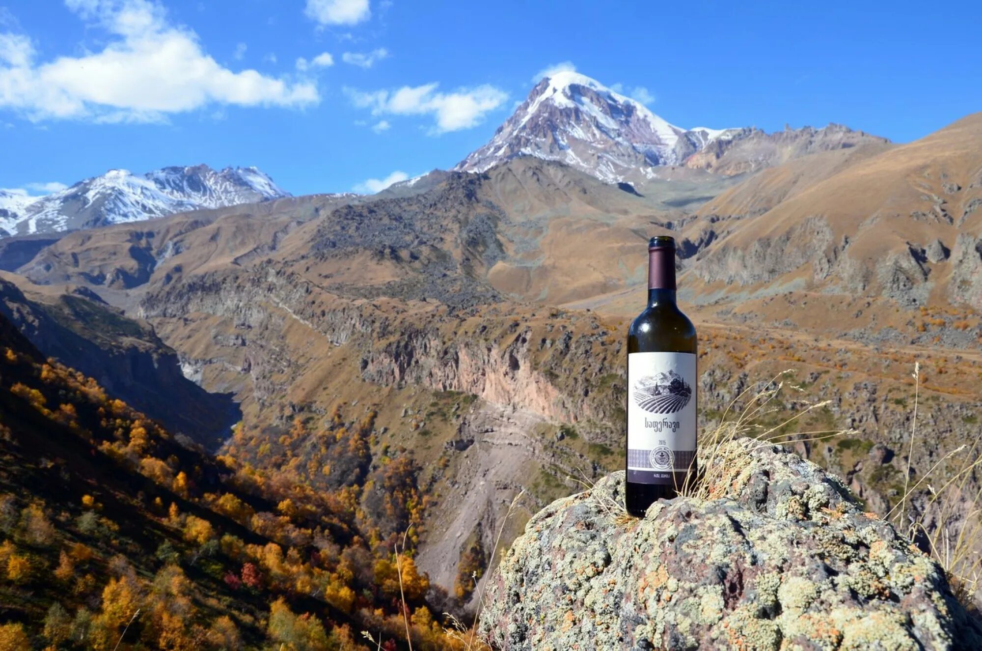 Винодел вина гора Грузия. Грузия вино горы. Грузия Тбилиси винодельня. Винодельня Порто Грузия.