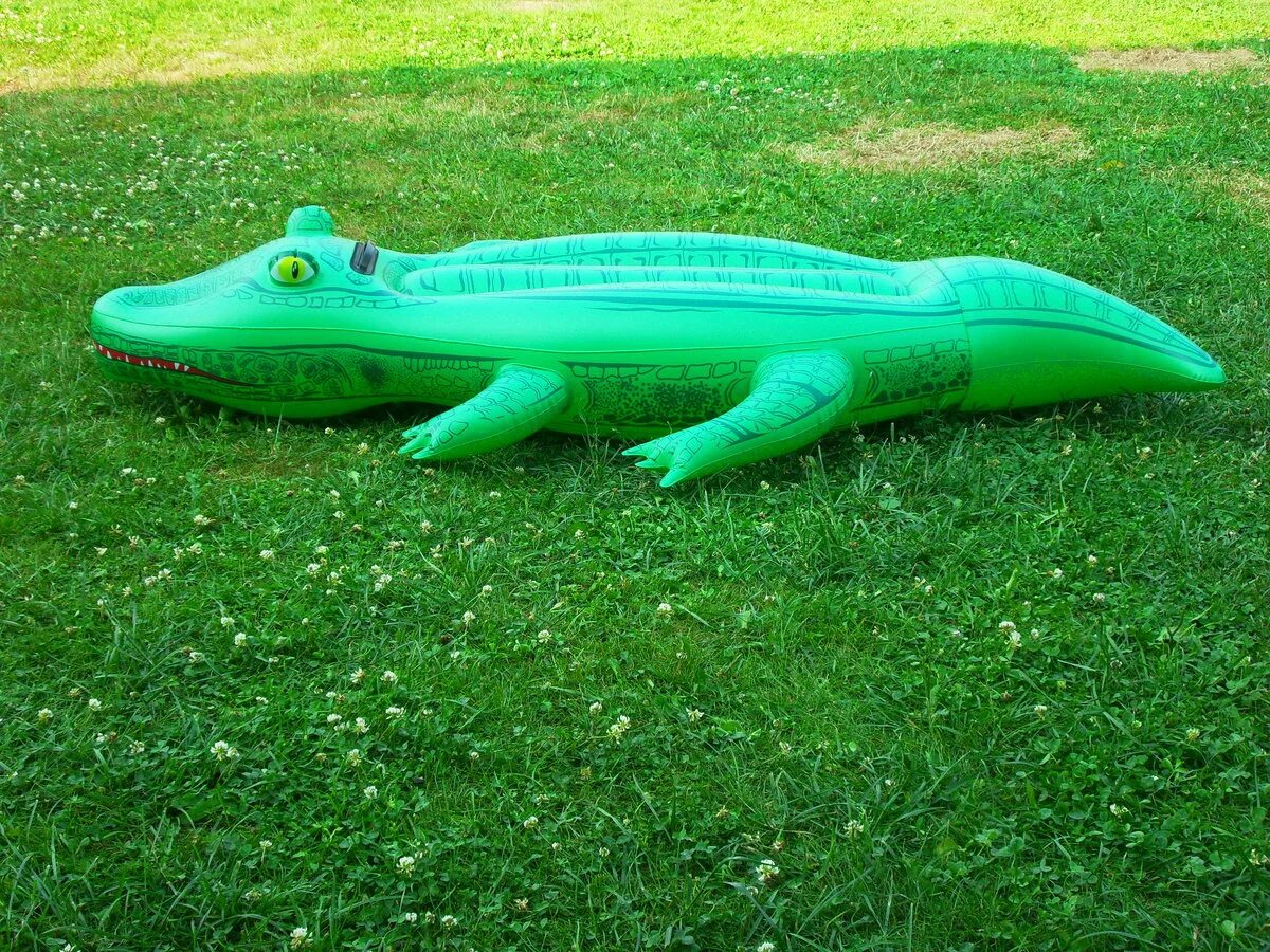Какой крокодил зеленый. Зеленый крокодил. Зелёный крокодил скейты. Линейка крокодил. Маленький крокодил ярко зеленого цвета.