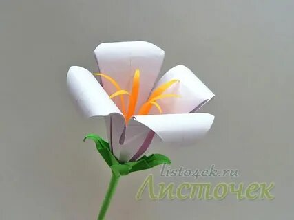 Создать модель цветка
