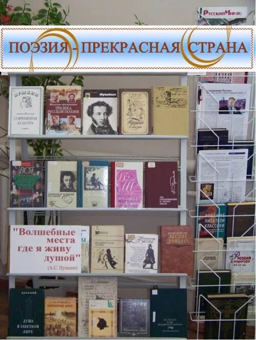 Поэзия мероприятия в библиотеке названия. Поэзия название выставки. Стихи книжная выставка в библиотеке. Книги о поэзии названия выставки. Заголовок выставки писателя.