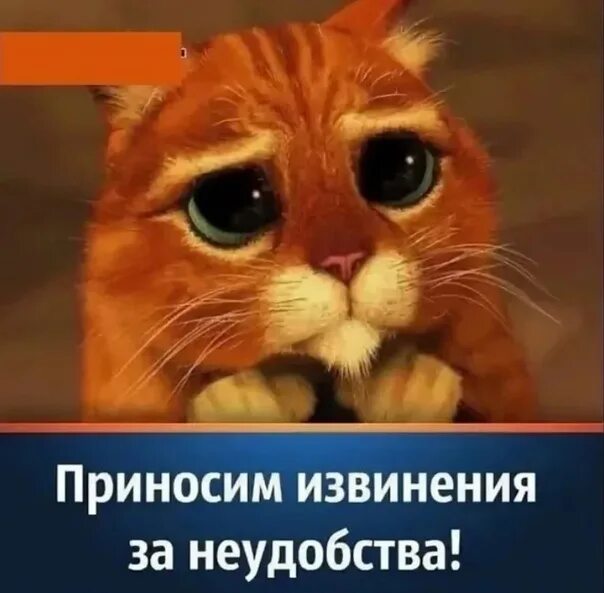 Приносим искренние извинения. Принесем извинение и неудобство. Приносим искренние извинения. Извинение рисунок. Приношу искренние извинения.