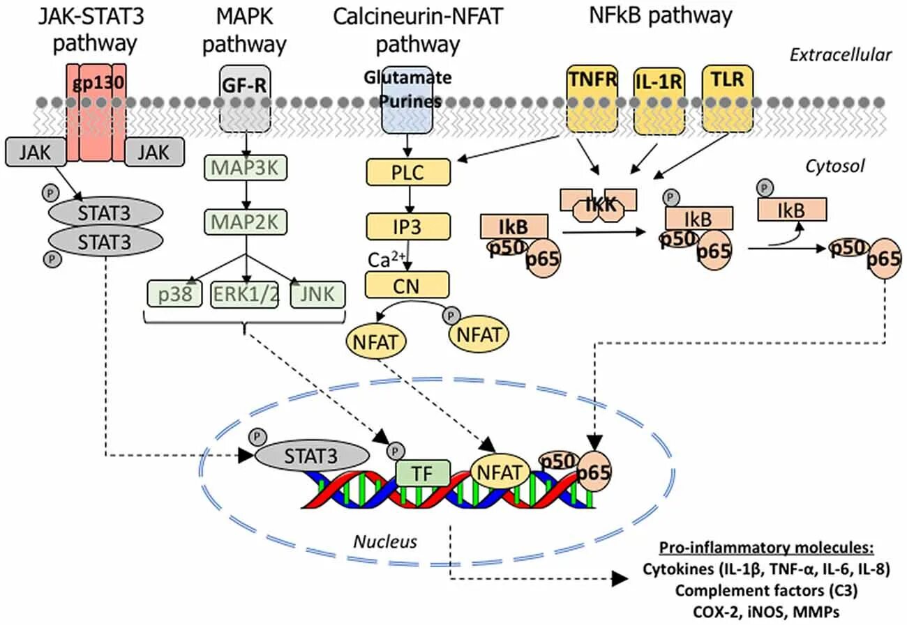 Core signaling