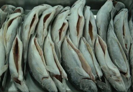 Качество мороженой рыбы