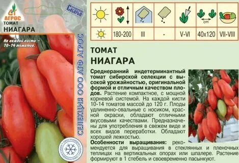 Томат ниагара