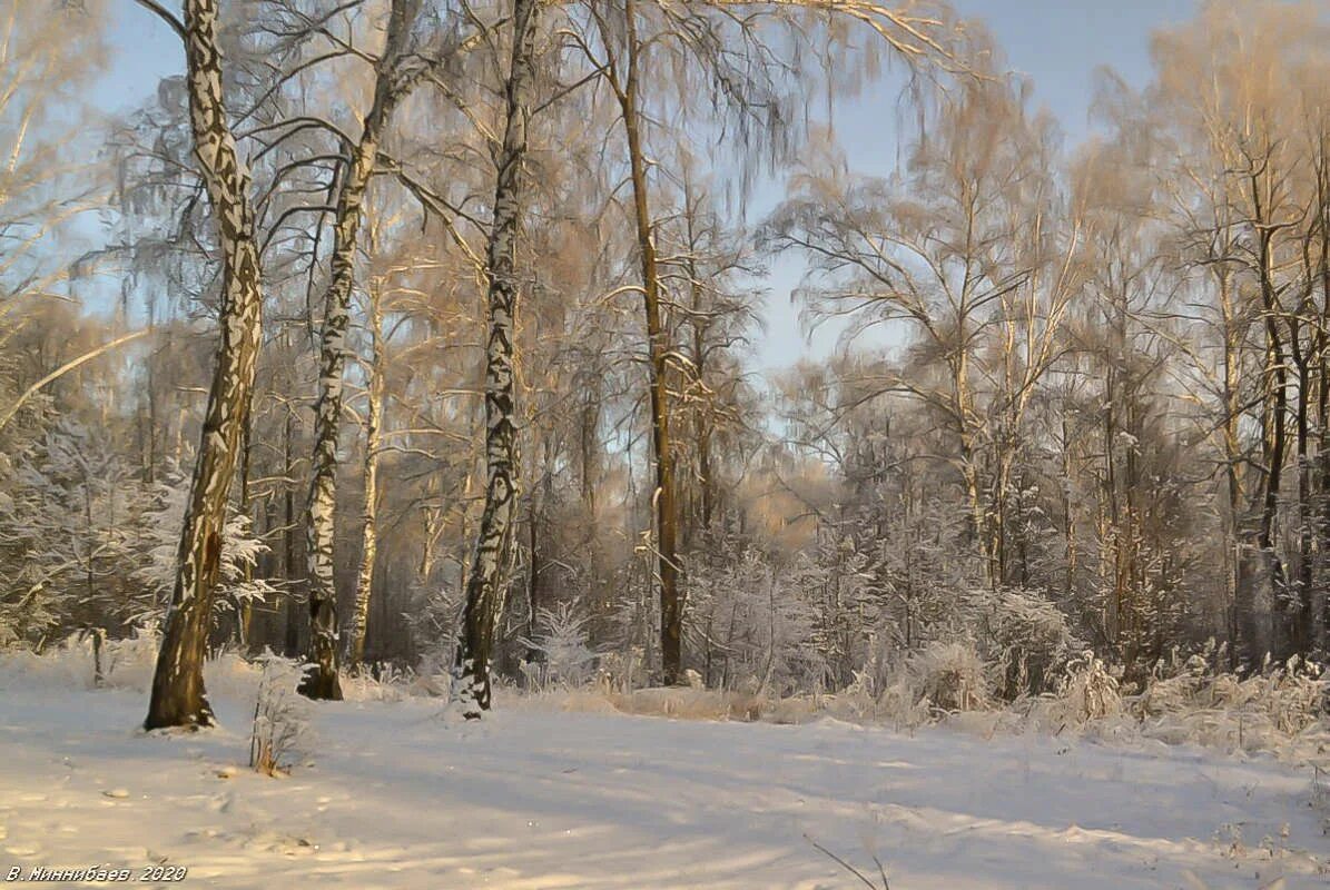 крымский зимний лес. киш манзараси. витас зима у леса на опушке слушать. витас зима у леса на опушке слушать. витас зима у леса на опушке слушать.
