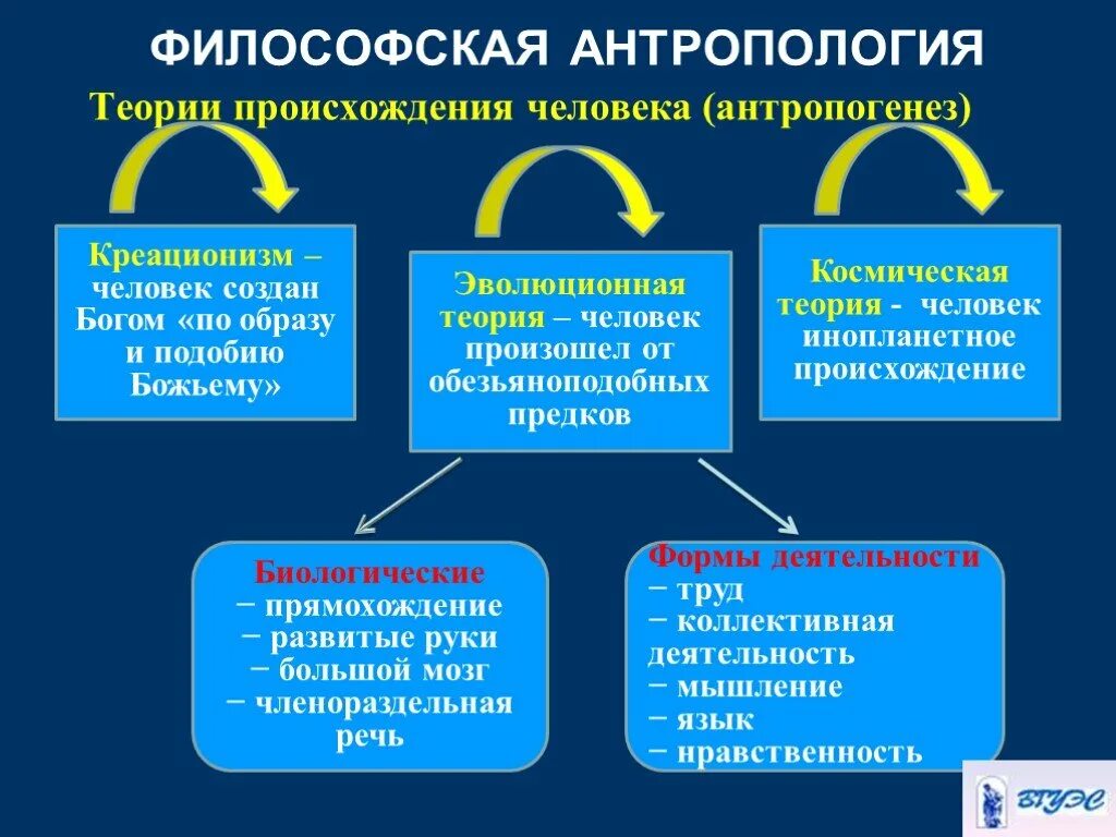 Концепции происхождения человека в философии. Философская теория происхождения человека. Философские концепции происхождения человека. Происхождение человека философия.