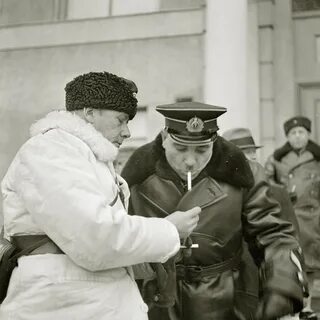 Товарищи офицеры