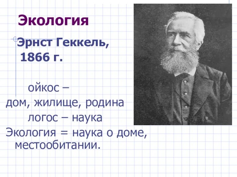 Геккель 1866. Эрнст геккель 1866. Эрнст геккель 1866. Геккель 1866. Эрнст геккель 1866.