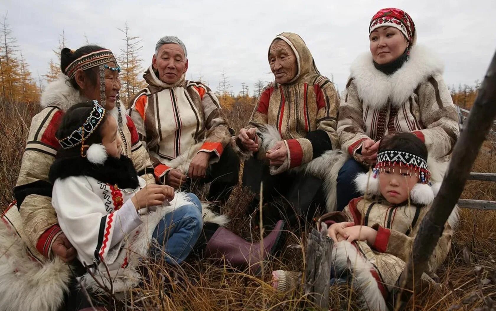 Энцы ненцы и нганасаны. (Ненцы, Ханты, манси, селькупы. Ненцы, энцы, нганасаны, селькупы. Ненцы, нганасаны, Долганы, энцы. -. Местные жители сибири