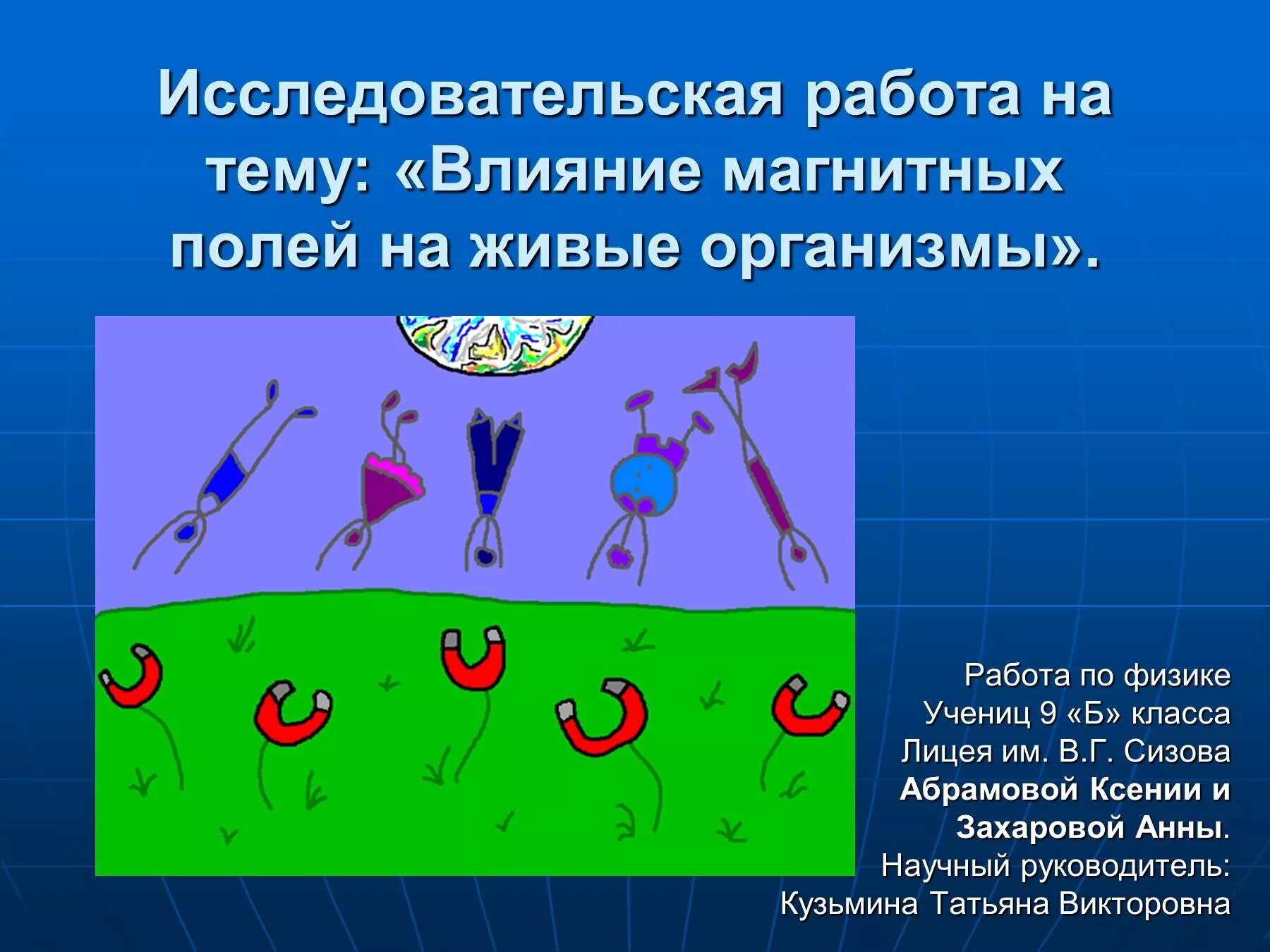 Магнитное поле влияние на живой организм. Влияние магнитного поля на живые организмы. Магнитное поле действует на человека. Влияние магнитного поля на живые организмы физика. Воздействие электромагнитного поля на живые организмы.