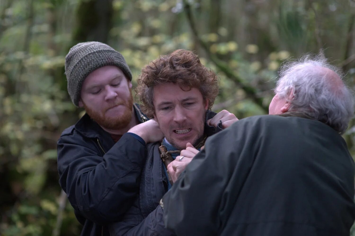 пробуждающий лес 2