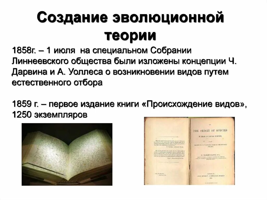 Эволюционная теория. Основные положения теории эволюции ч. Дарвина и а.Уоллеса. Уоллес теория эволюции. Теория эволюции Уоллеса кратко.