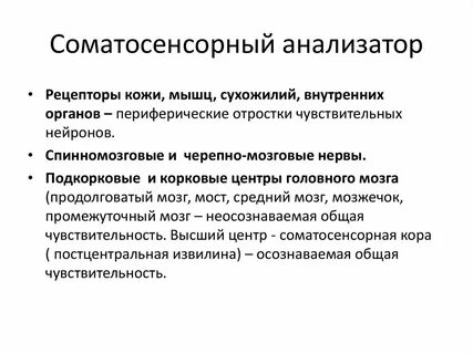 Анализатор включает