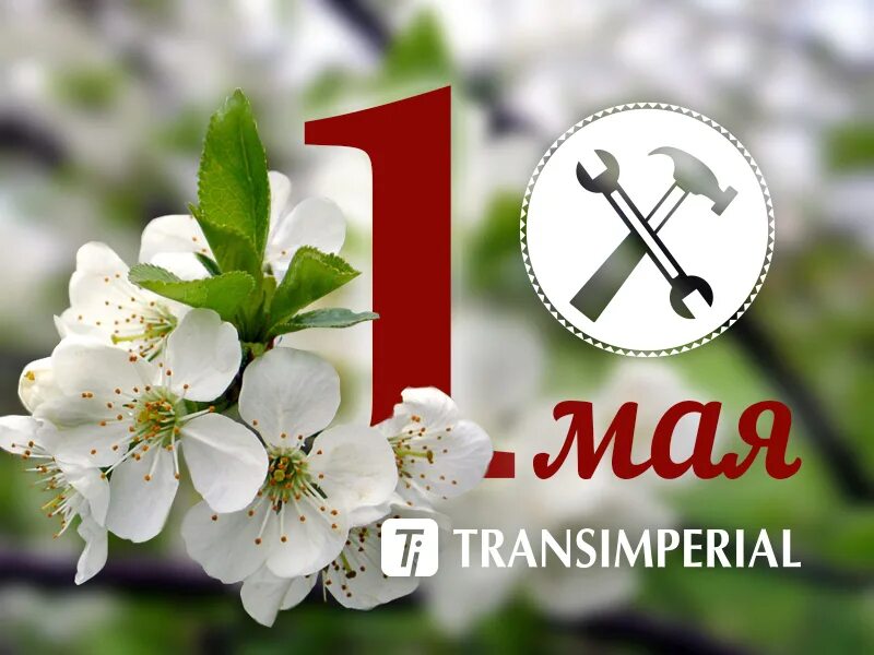 1 мая. Тарелки для первого. Открытки с 1 мая. С праздником весны 1 мая. Сервис 1 мая.