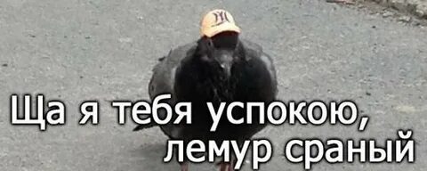Предъява