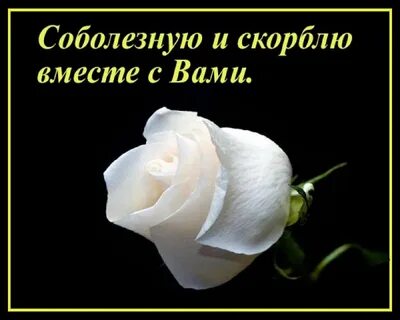 Соболезнования врачу