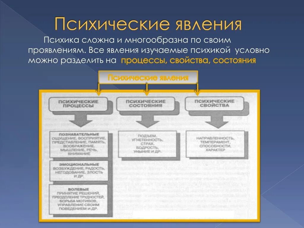 Структура психических явлений. Психические процессы явления и состояния. Психические явления схема. Характеристика психических явлений. Психические явления определения