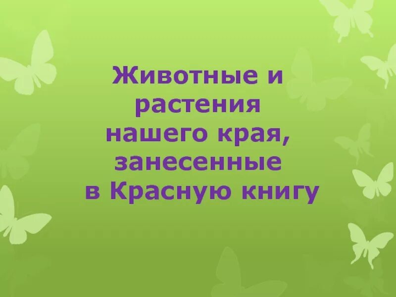 Песни занеси меня в красную книгу. Растения нашего края. Животные Краснодарского края занесенные в красную книгу. Растения и животные Краснодарского края. Растения и животные Краснодарского края занесенные в красную книгу.