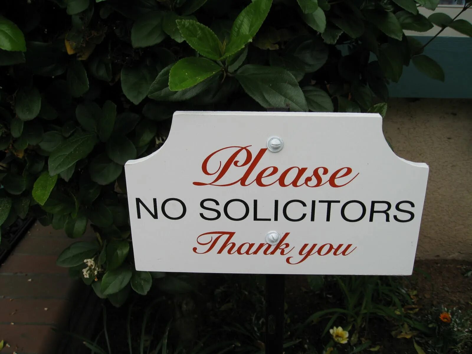 Генеральный солиситор. Солиситор кто это. Солиситор. Солиситор кто это. Солиситор кто это.