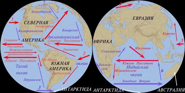 Теплые течения теплого полушария. Течения на карте полушарий. Северное пассатное течение на карте полушарий. Северное пассатное течение. Северное пассатное течение полушарие.