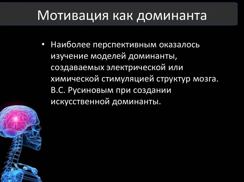 Качества доминанта. Биологическая мотивация. биологическая мотивация физиология. доминанта в мозге.
